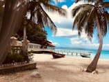 brown wooden boat on white sand near body of water during daytime