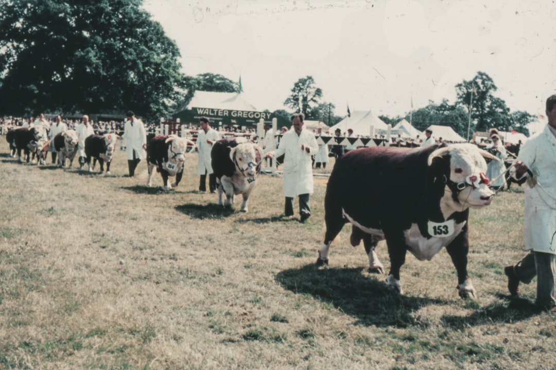 people standing on green grass field during daytime