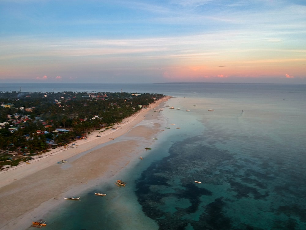 veduta aerea della spiaggia durante il giorno