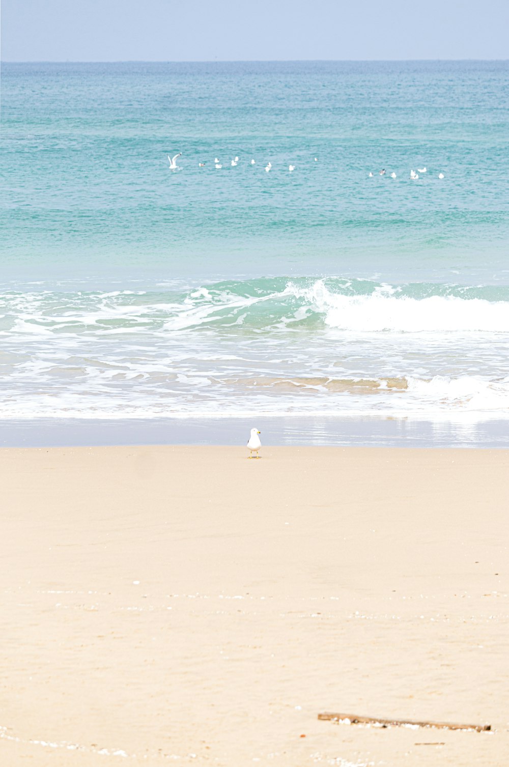 pessoa na camisa branca em pé na praia durante o dia