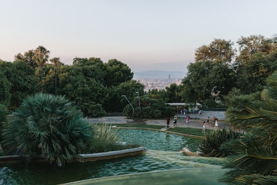 people swimming on pool during daytime in Montjuïc Spain