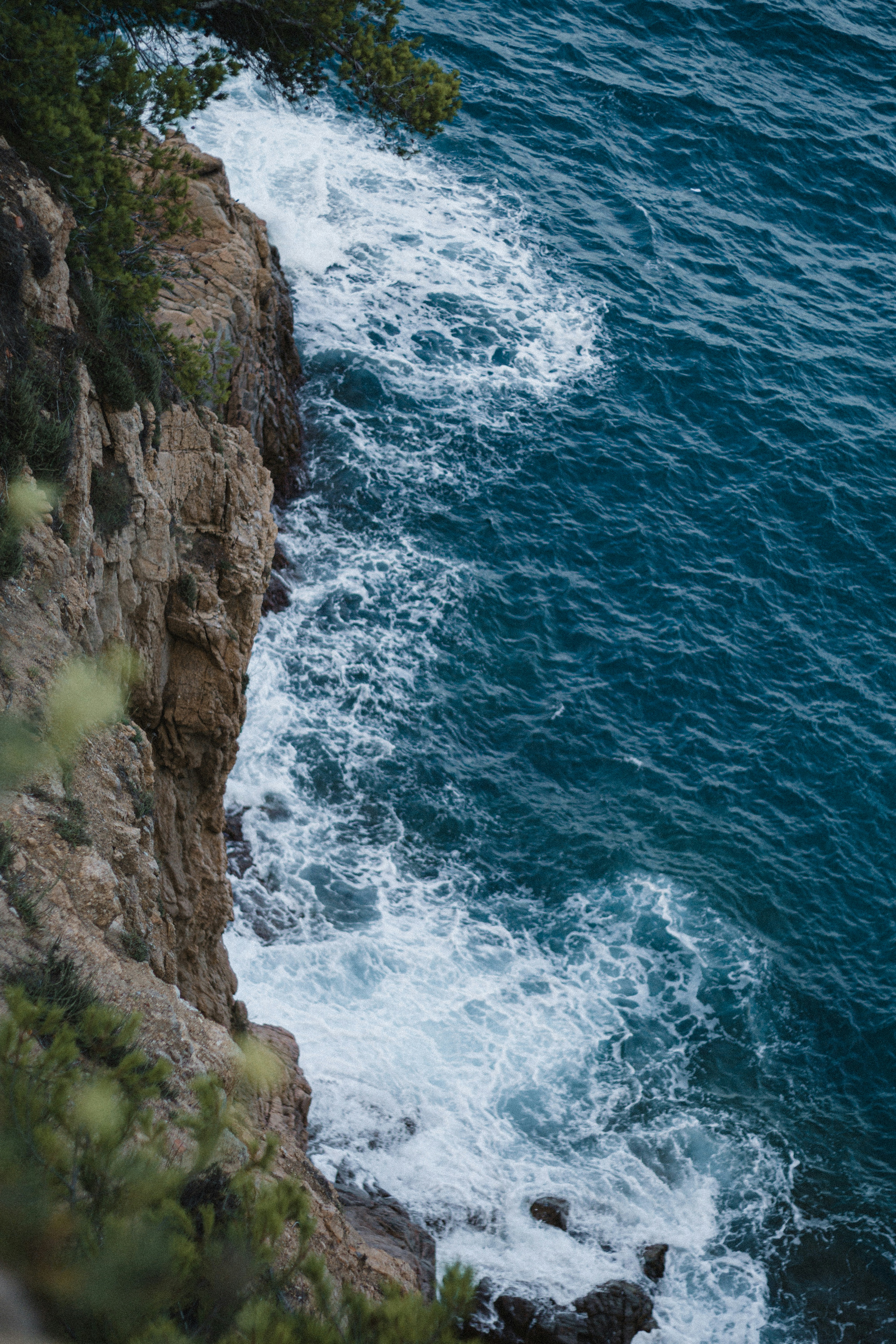 tossa de mar