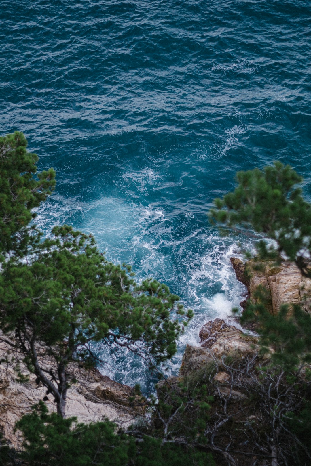 Shore photo spot Tossa de Mar Massís de les Cadiretes