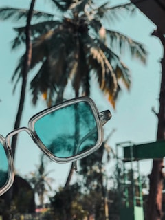 A pair of sunglasses with blue-tinted lenses is held up against a background of tall palm trees, creating a tropical atmosphere. The palm trees appear slightly blurred, contrasting with the sharp focus of the sunglasses.