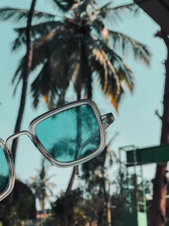 A pair of sunglasses with blue-tinted lenses is held up against a background of tall palm trees, creating a tropical atmosphere. The palm trees appear slightly blurred, contrasting with the sharp focus of the sunglasses.