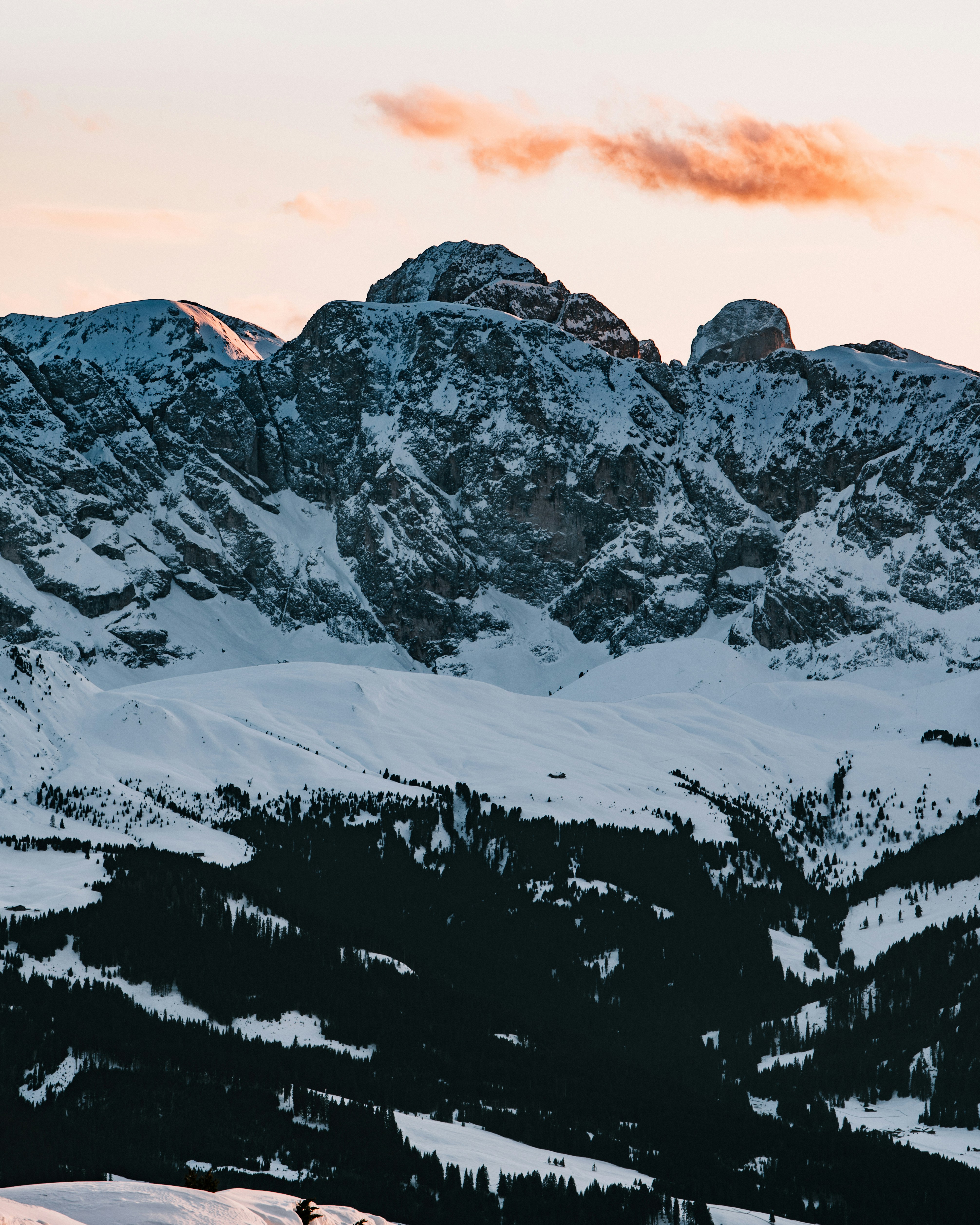 Photo by tamas_tuzeskatai