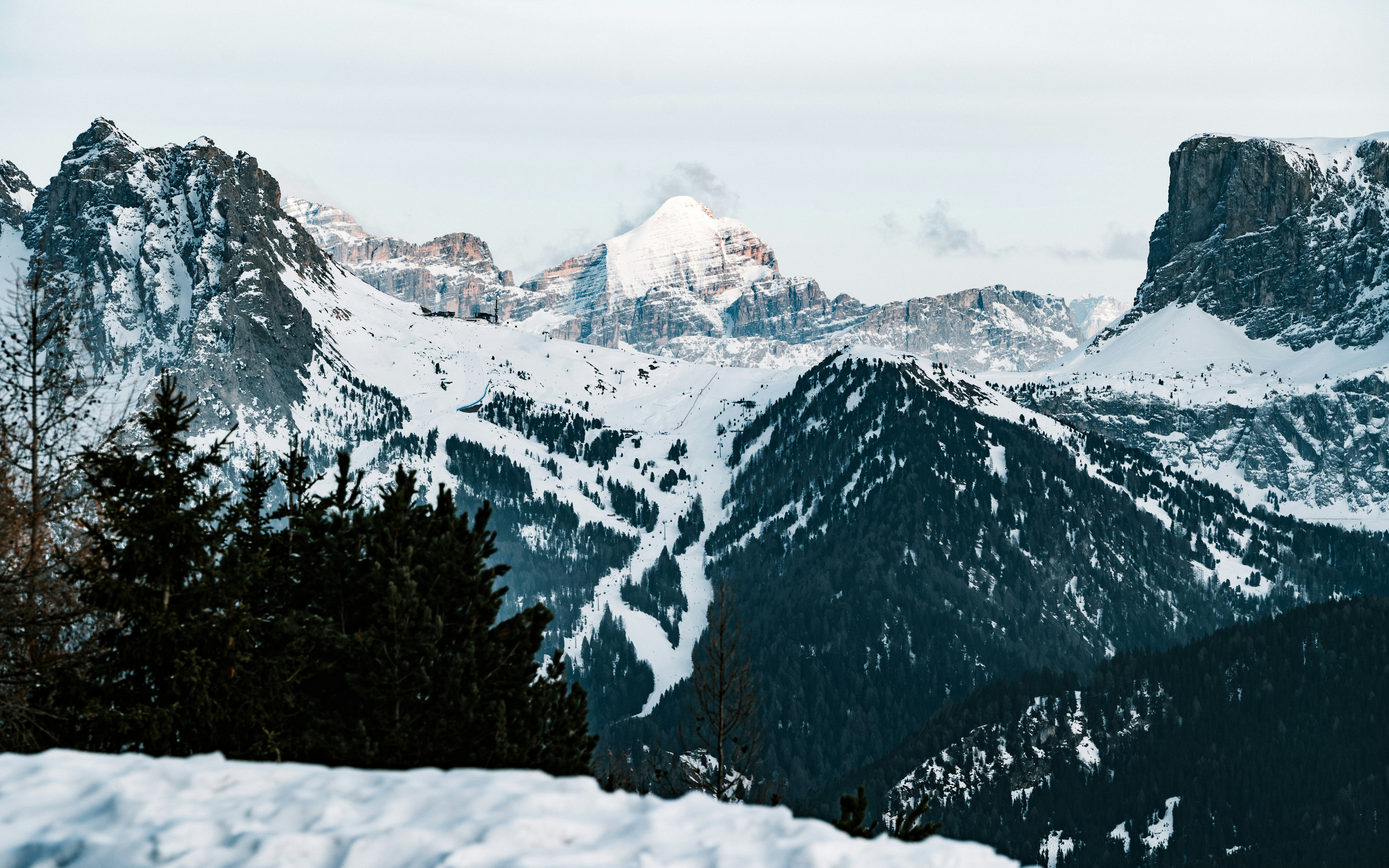 Photo by tamas_tuzeskatai