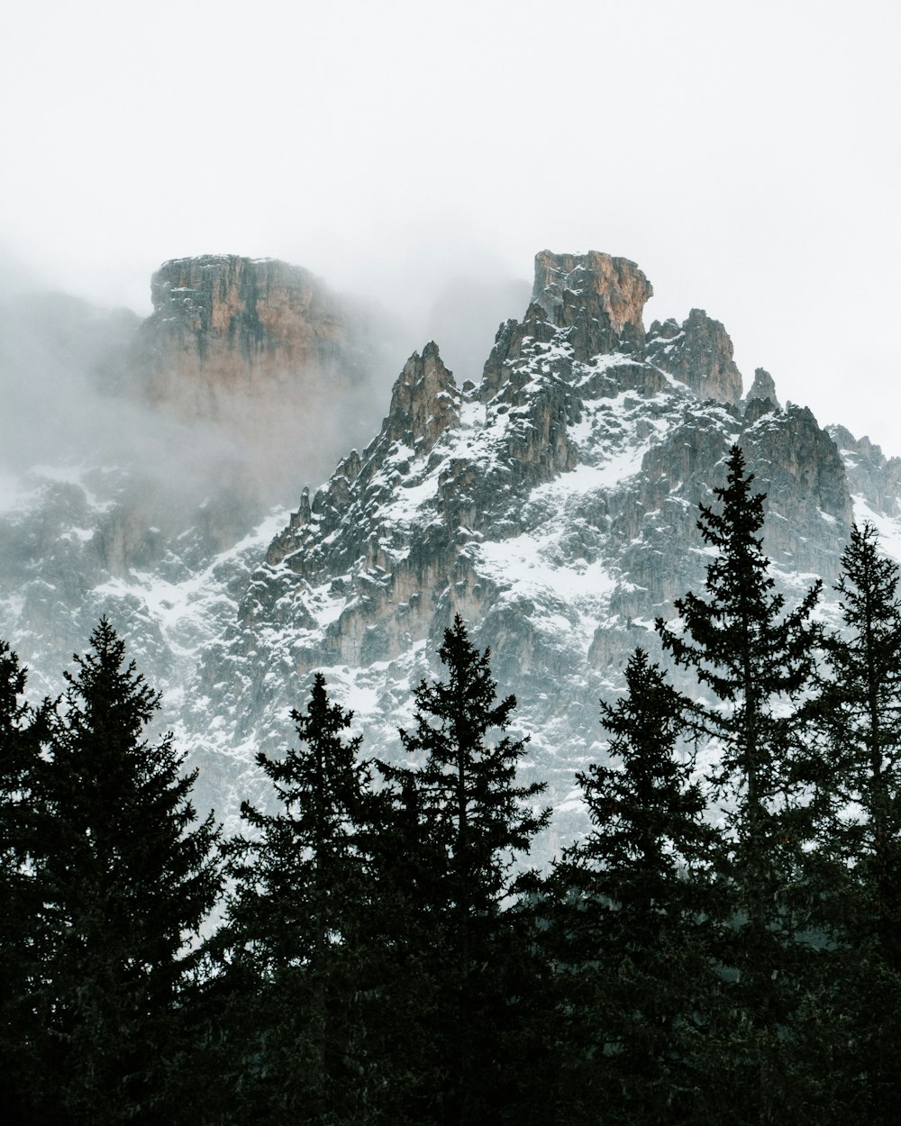 green trees near snow covered mountain during daytime