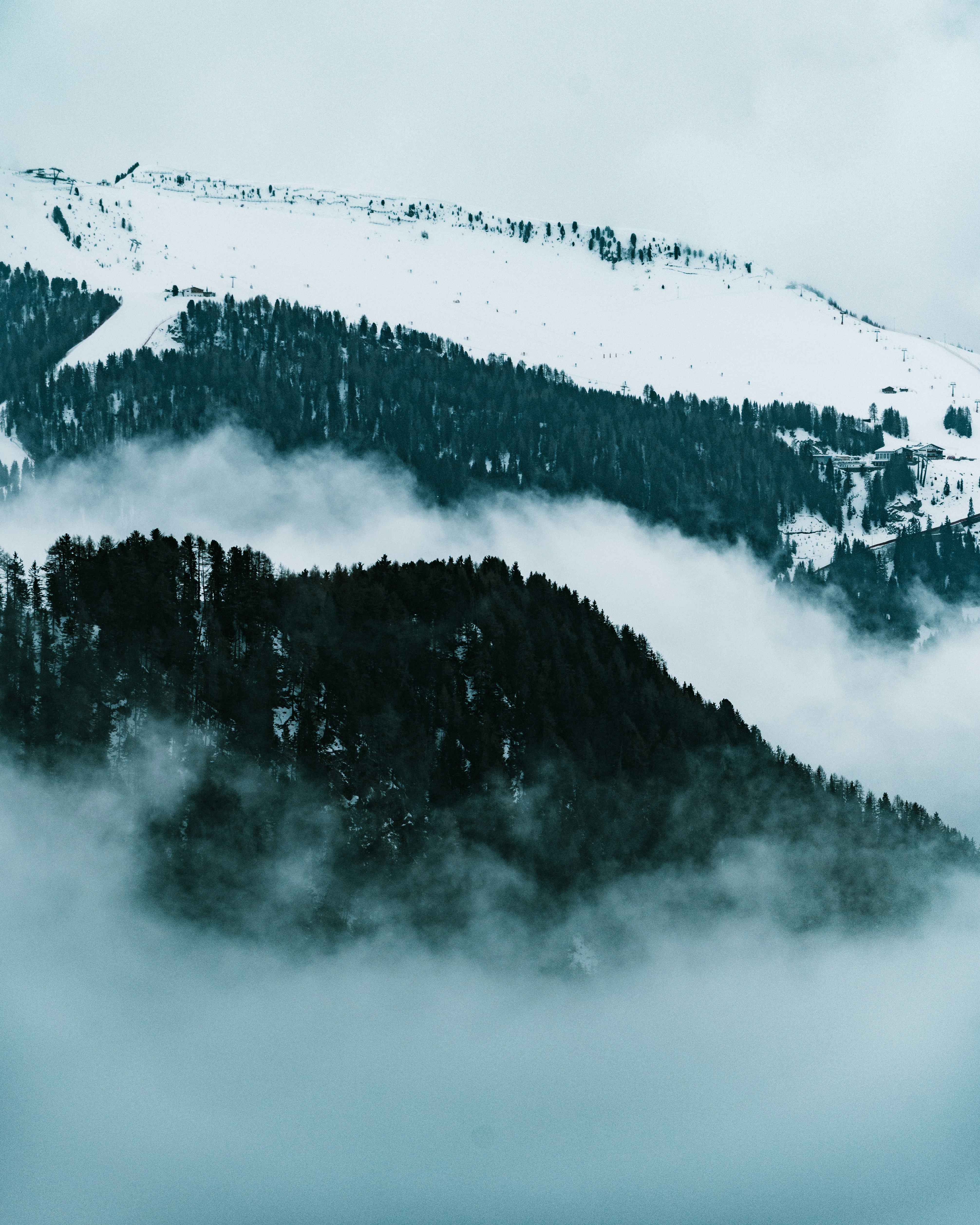 Photo by tamas_tuzeskatai