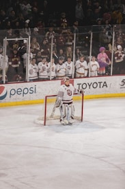 A hockey player stands in front of a goal on the ice, wearing full gear including a helmet and pads. The player is positioned with a serious expression, facing towards the camera. Behind the player, a crowd watches from behind the glass barrier, many wearing team jerseys and showing support.