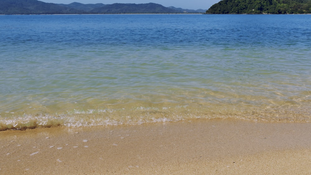 green body of water near green mountain during daytime