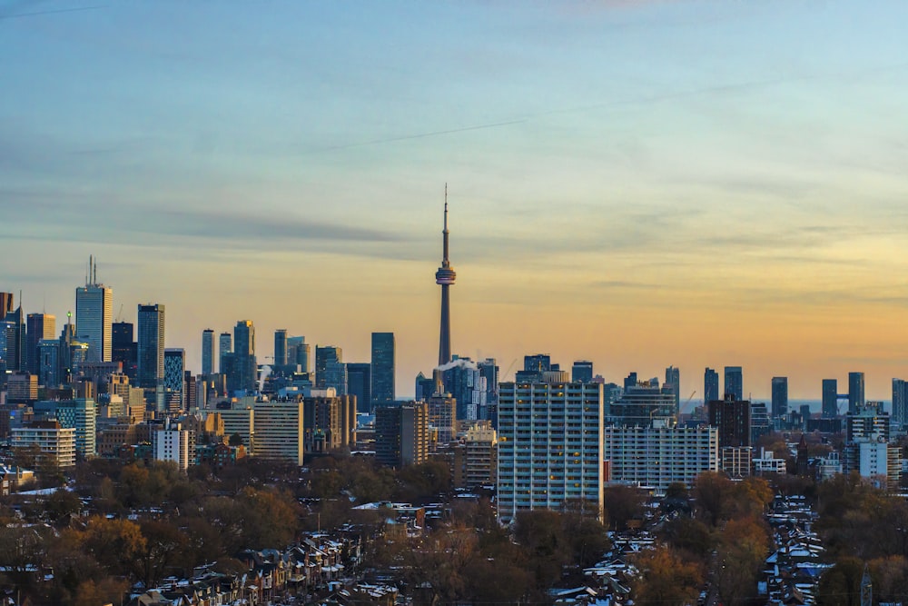 city skyline during night time