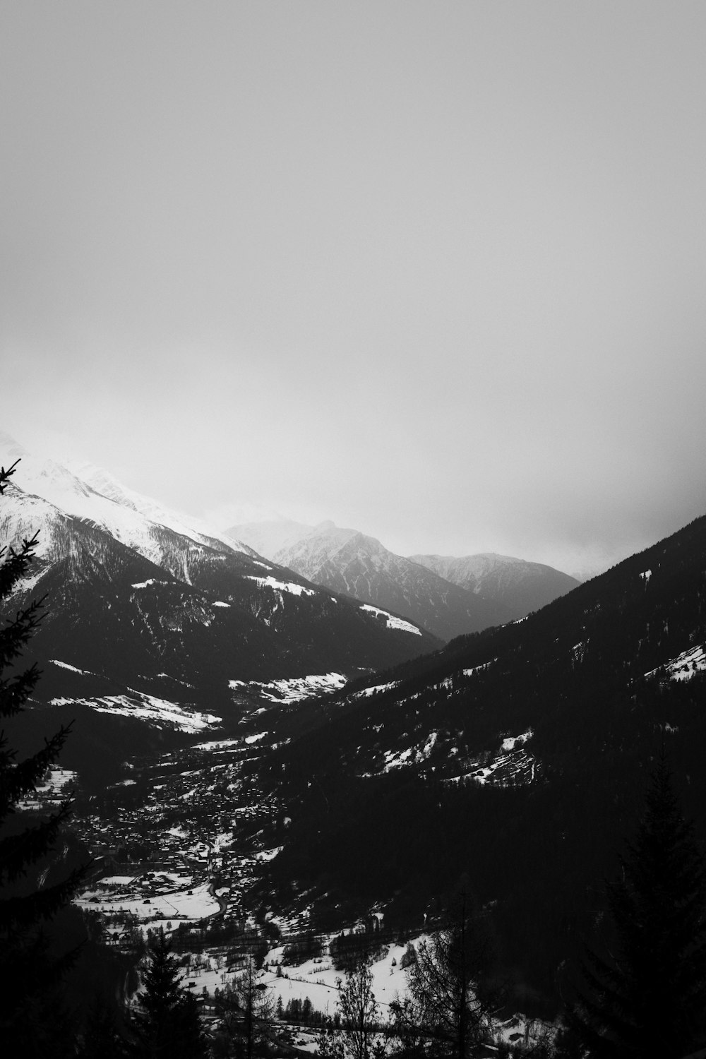 grayscale photo of mountains and trees