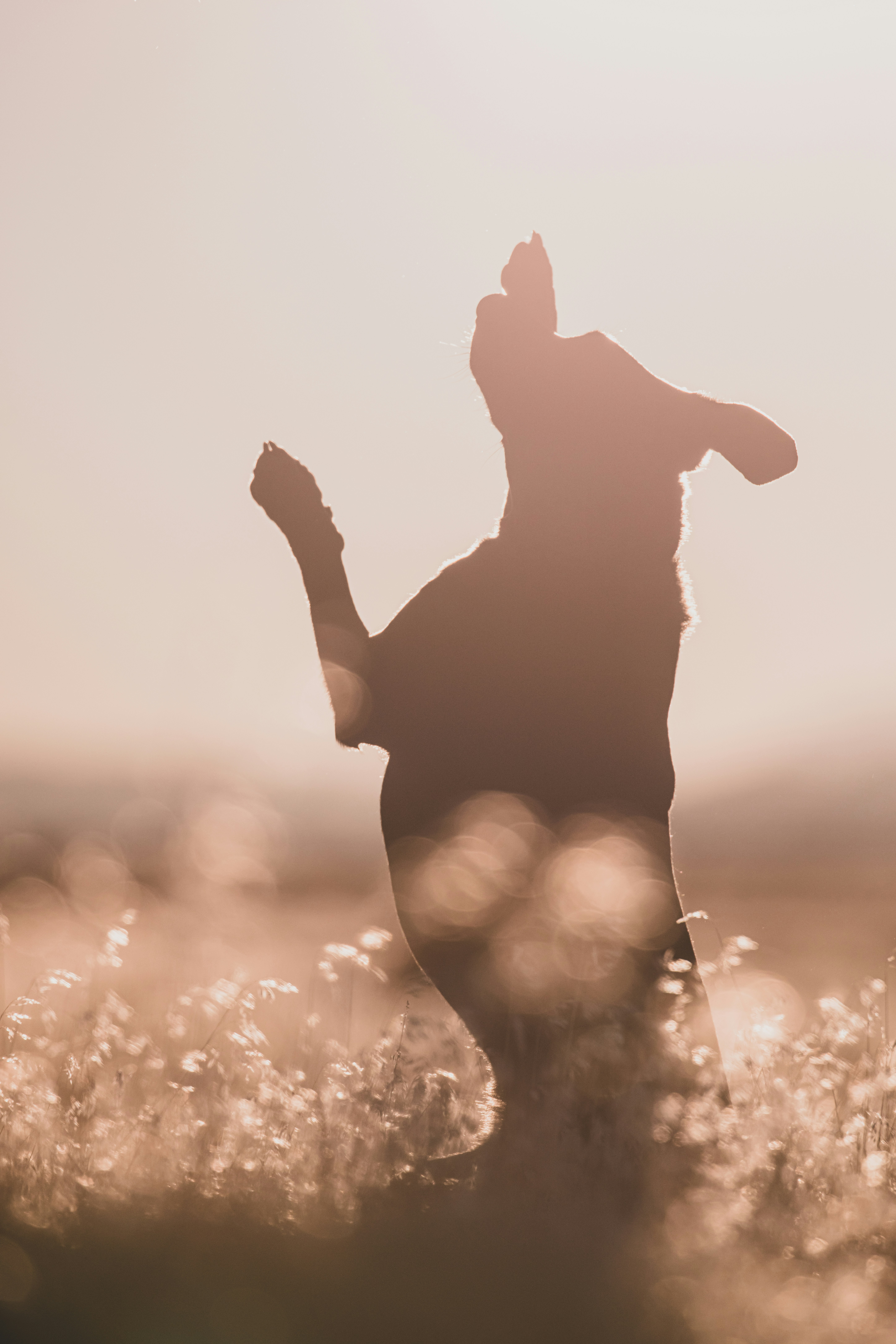 Photo by worldsbetweenlines