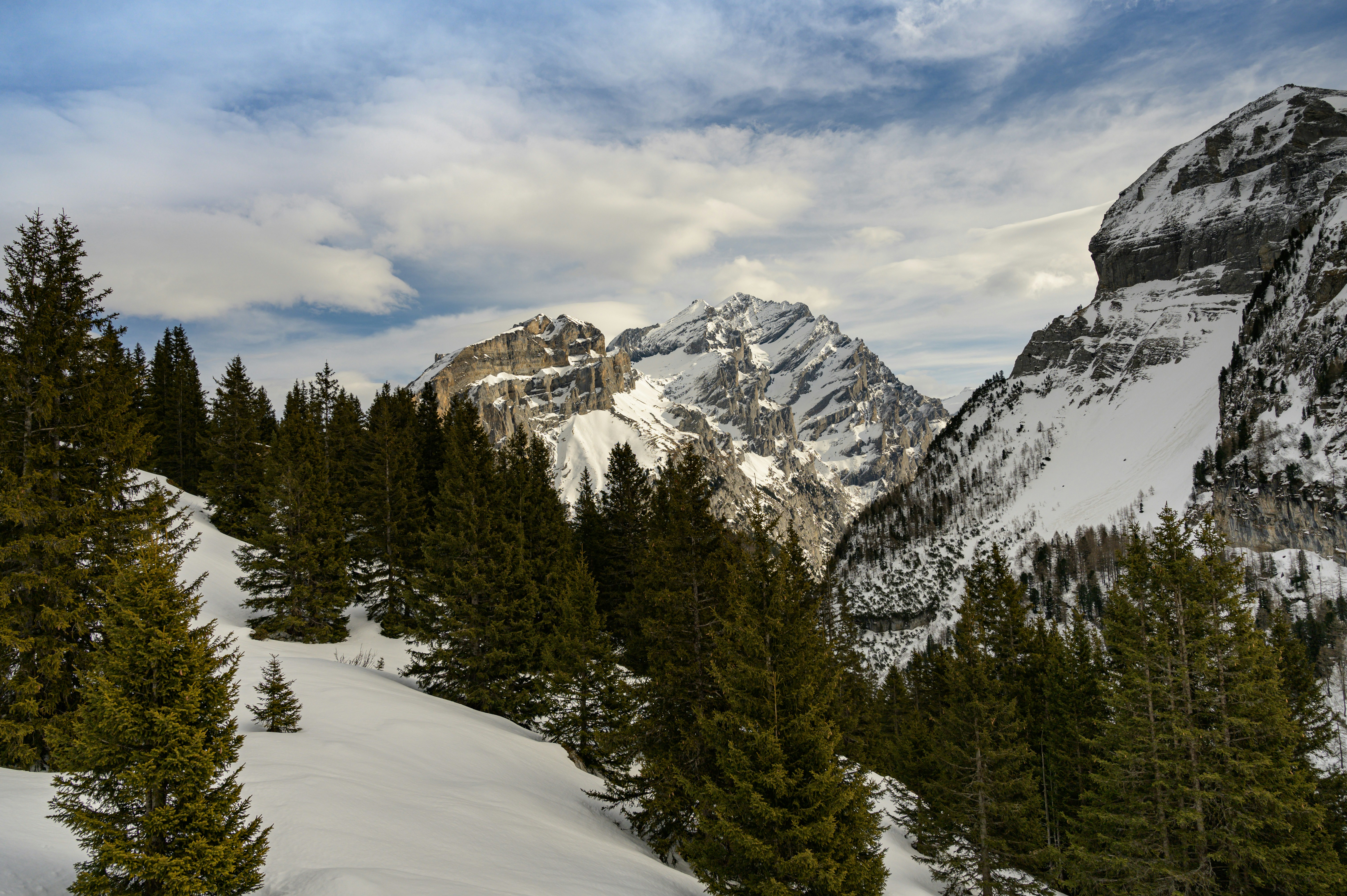 Photo by babettelandmesser