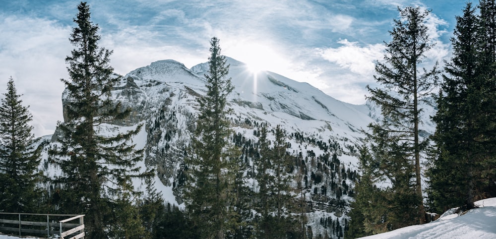 Montaña cubierta de nieve bajo el cielo azul durante el día