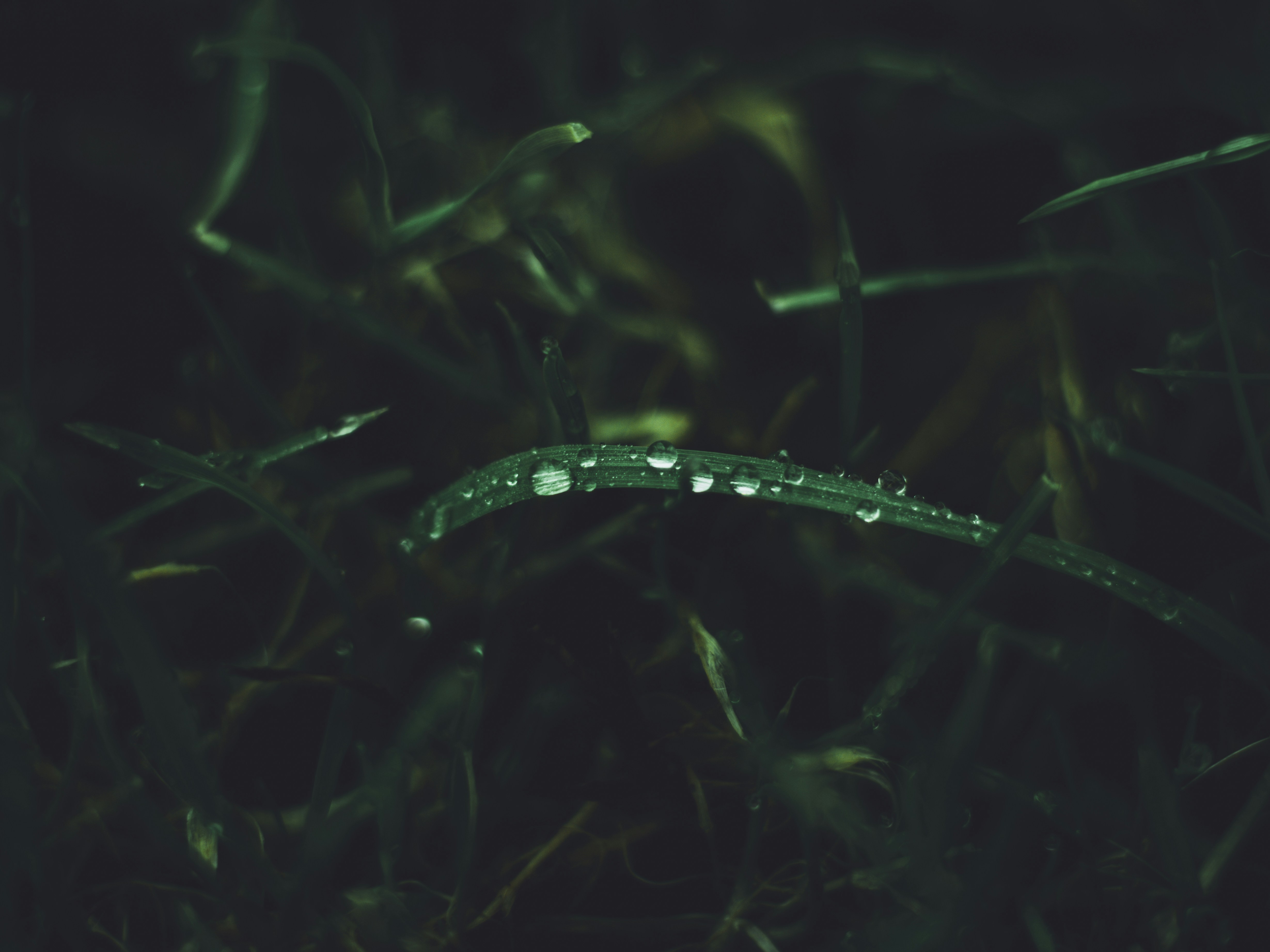 Photo by clement_roy