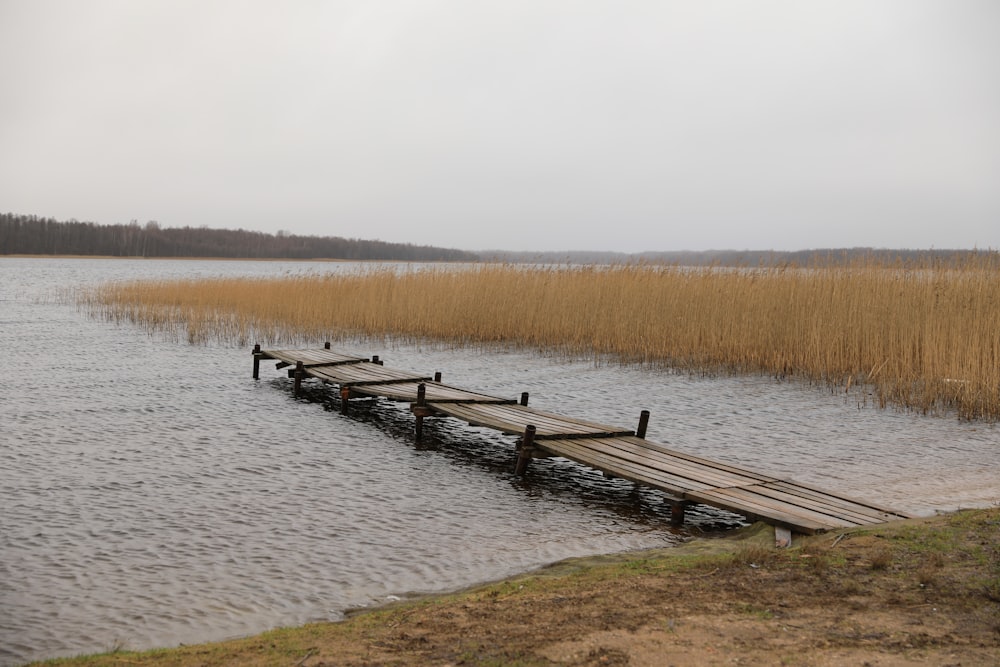 brown wooden dock on lake during daytime