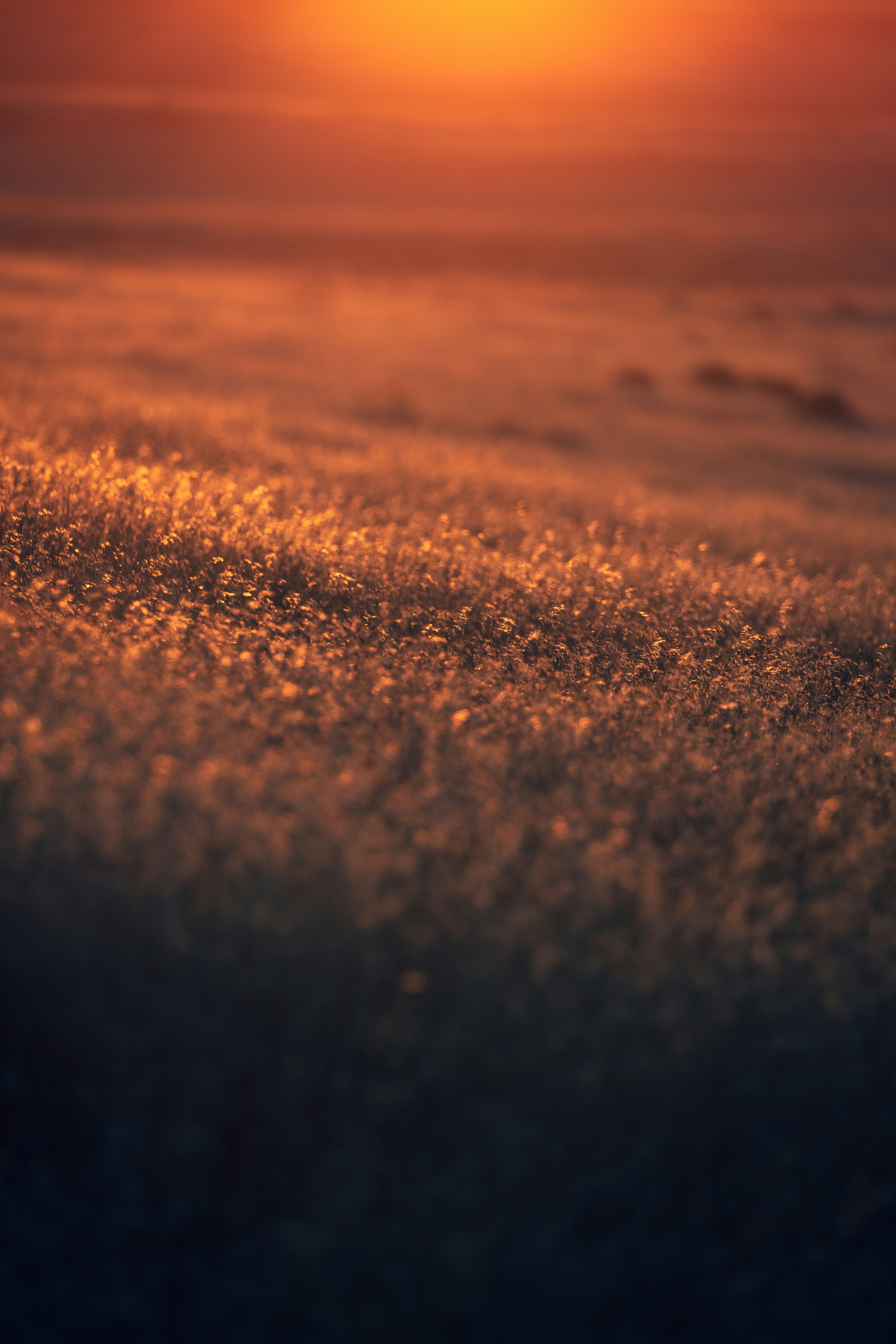 Photo by worldsbetweenlines