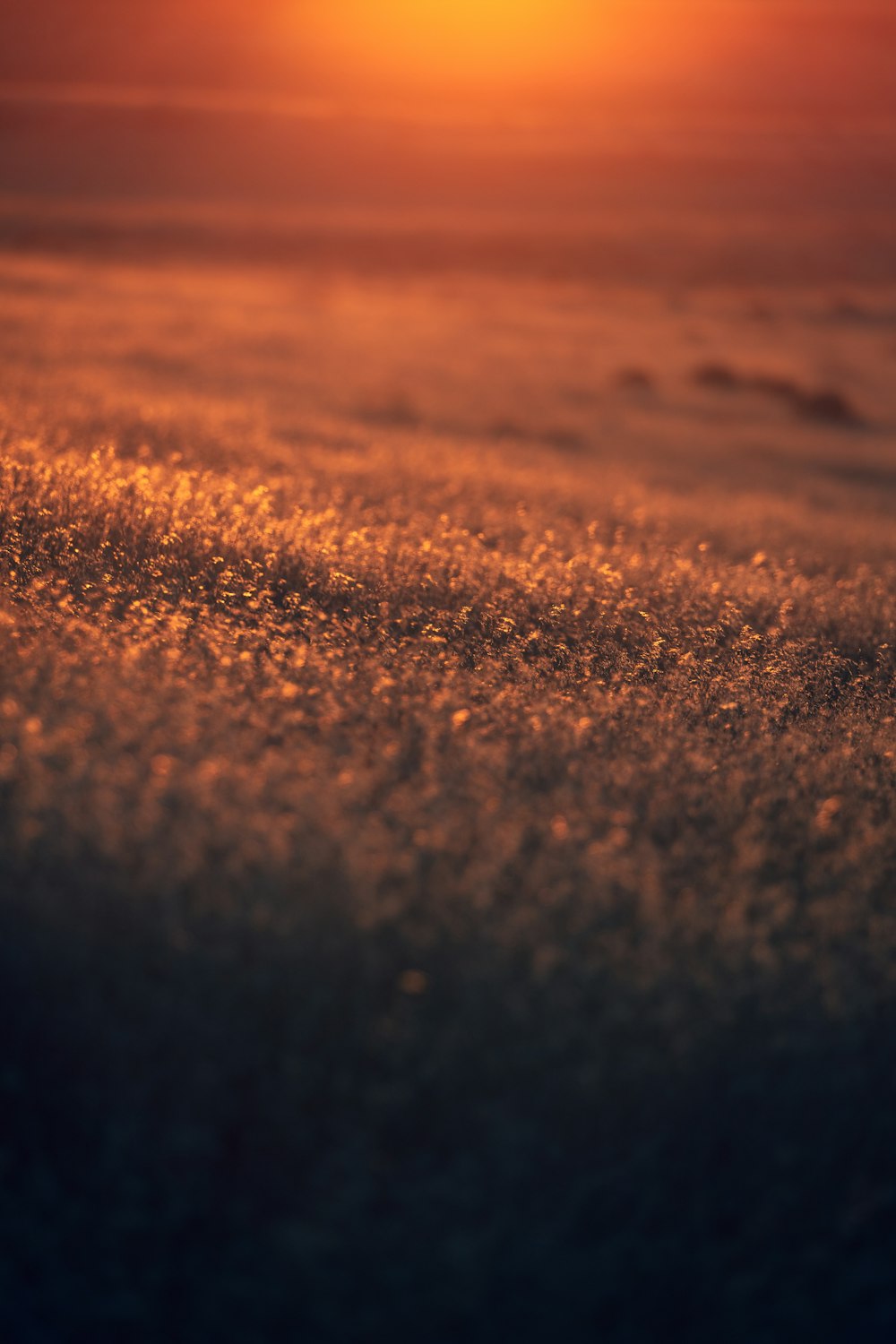 brown sand during golden hour