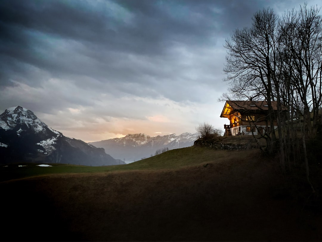 brown house near bare trees on green grass field during daytime