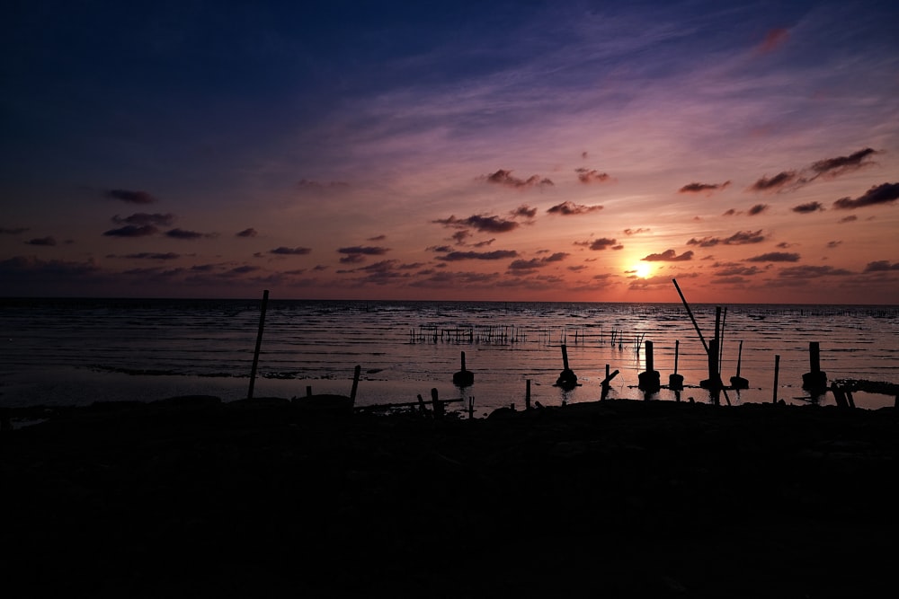 silhouette of people standing on beach during sunset