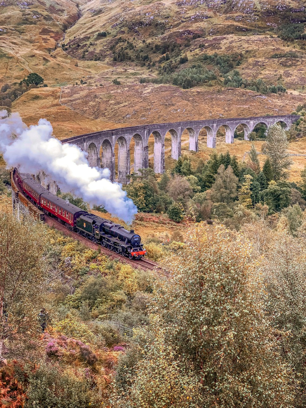 Train rouge et noir sur la voie ferrée pendant la journée