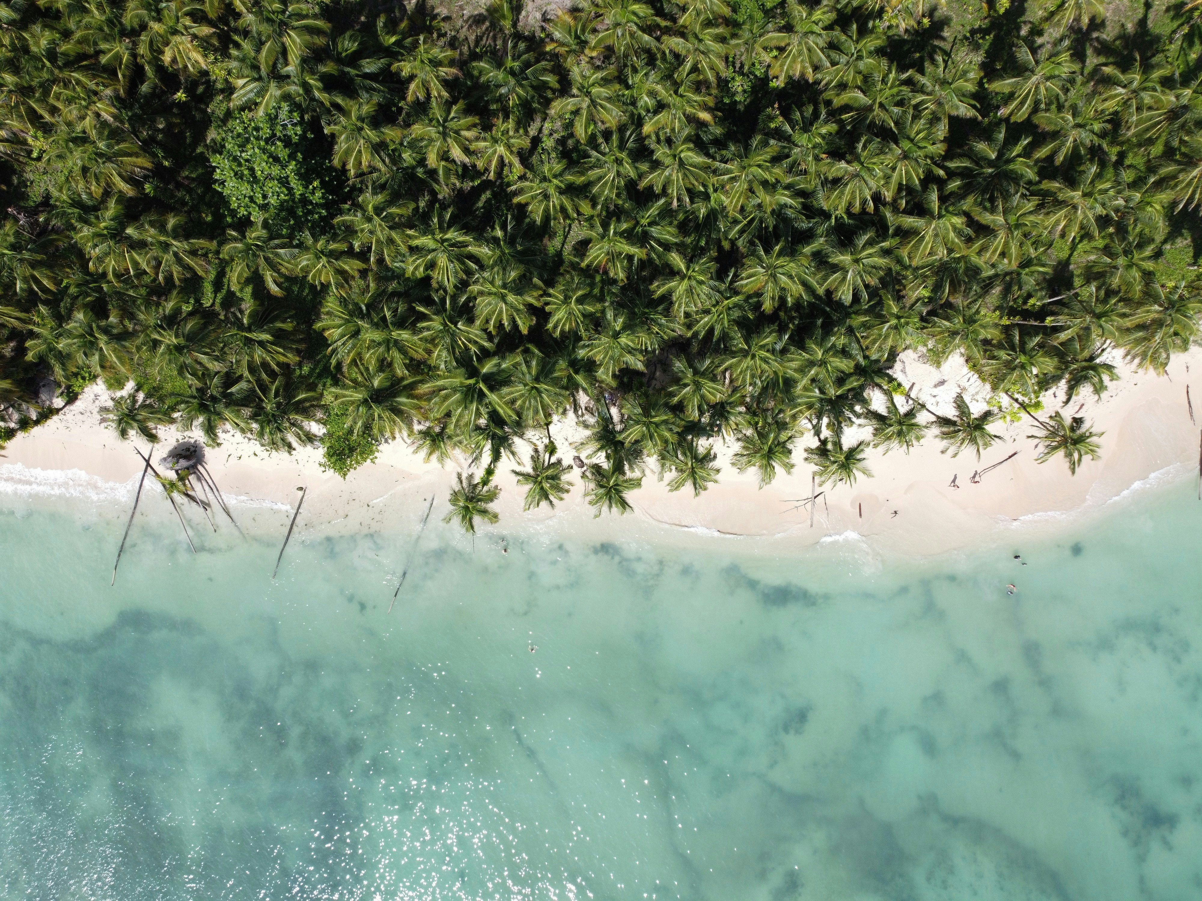 Stay online in the Panama with a prepaid eSIM from eSIMlii. Instant activation, no roaming charges, and reliable coverage.