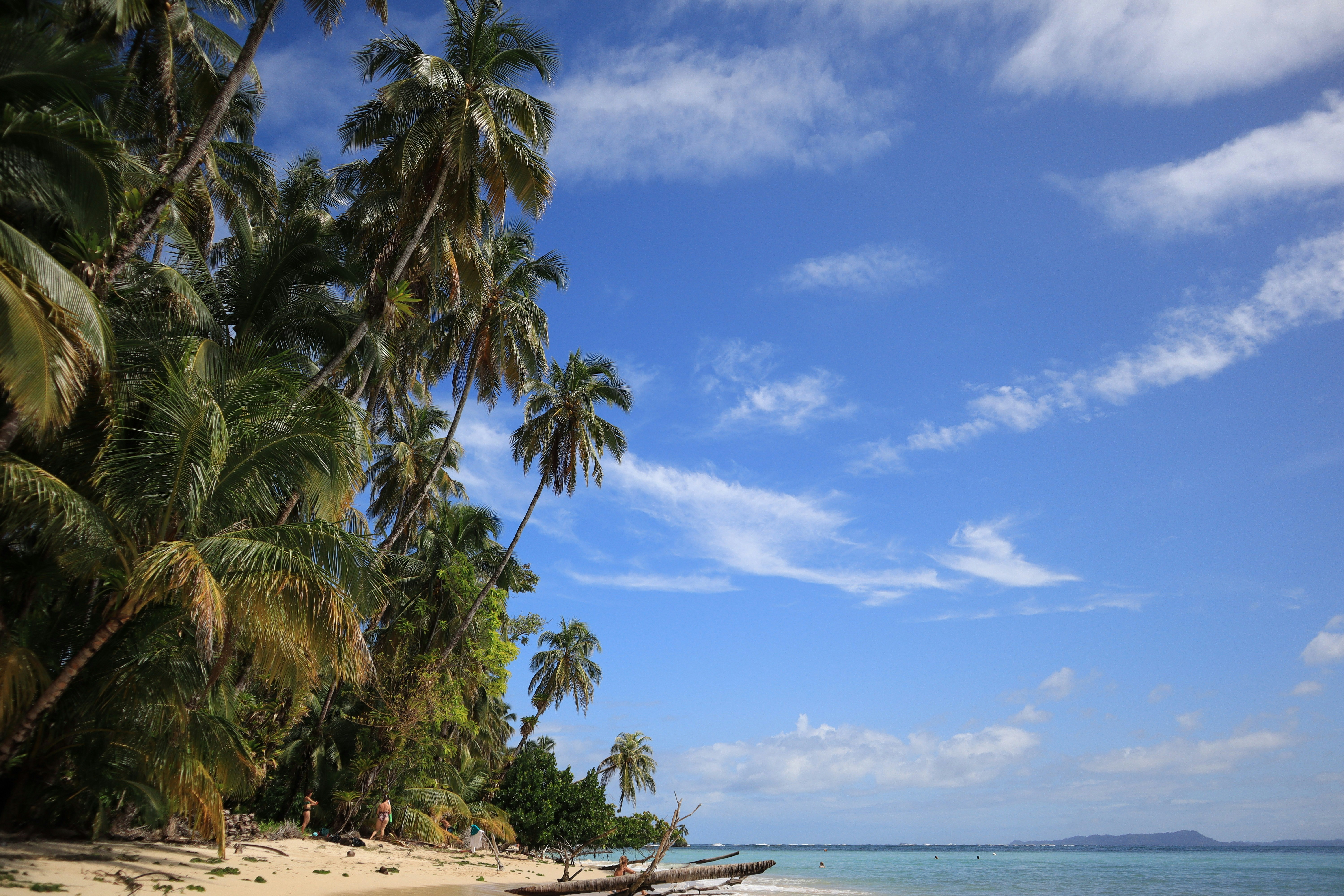 Photo by chema_photo