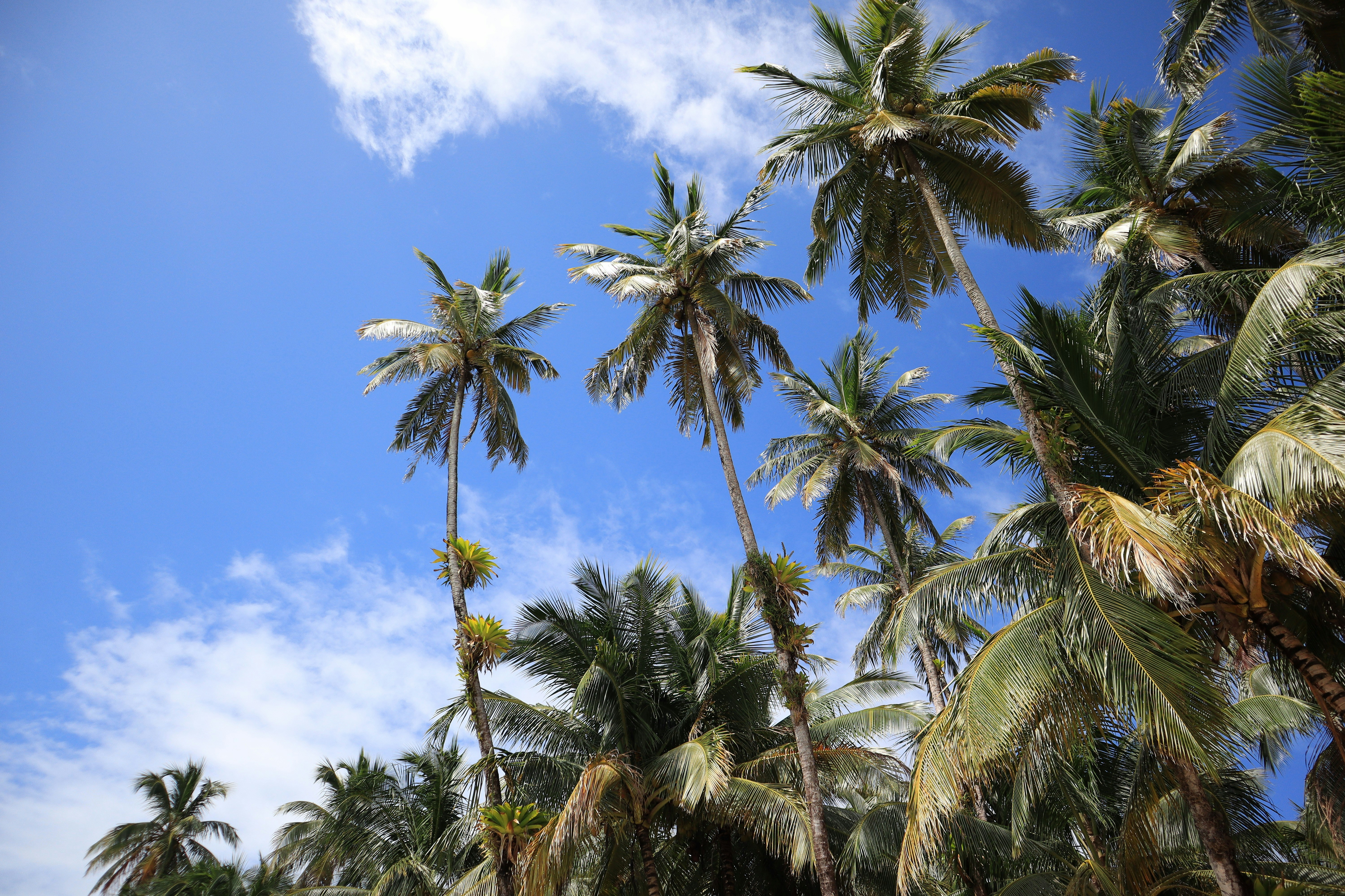 Photo by chema_photo