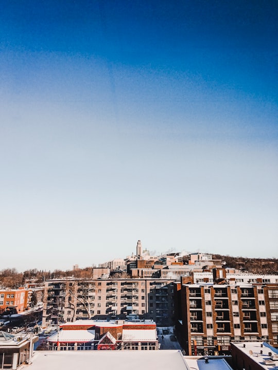 brown and white concrete buildings under blue sky during daytime in Université de Montréal Canada