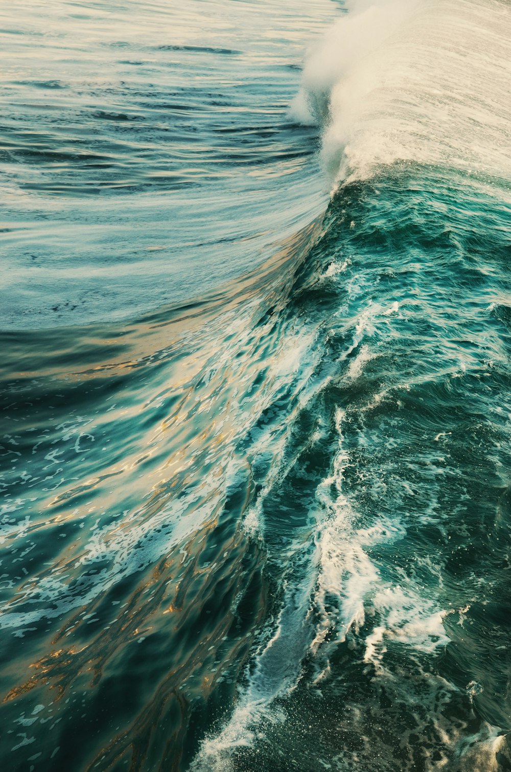 昼間の青い海の波