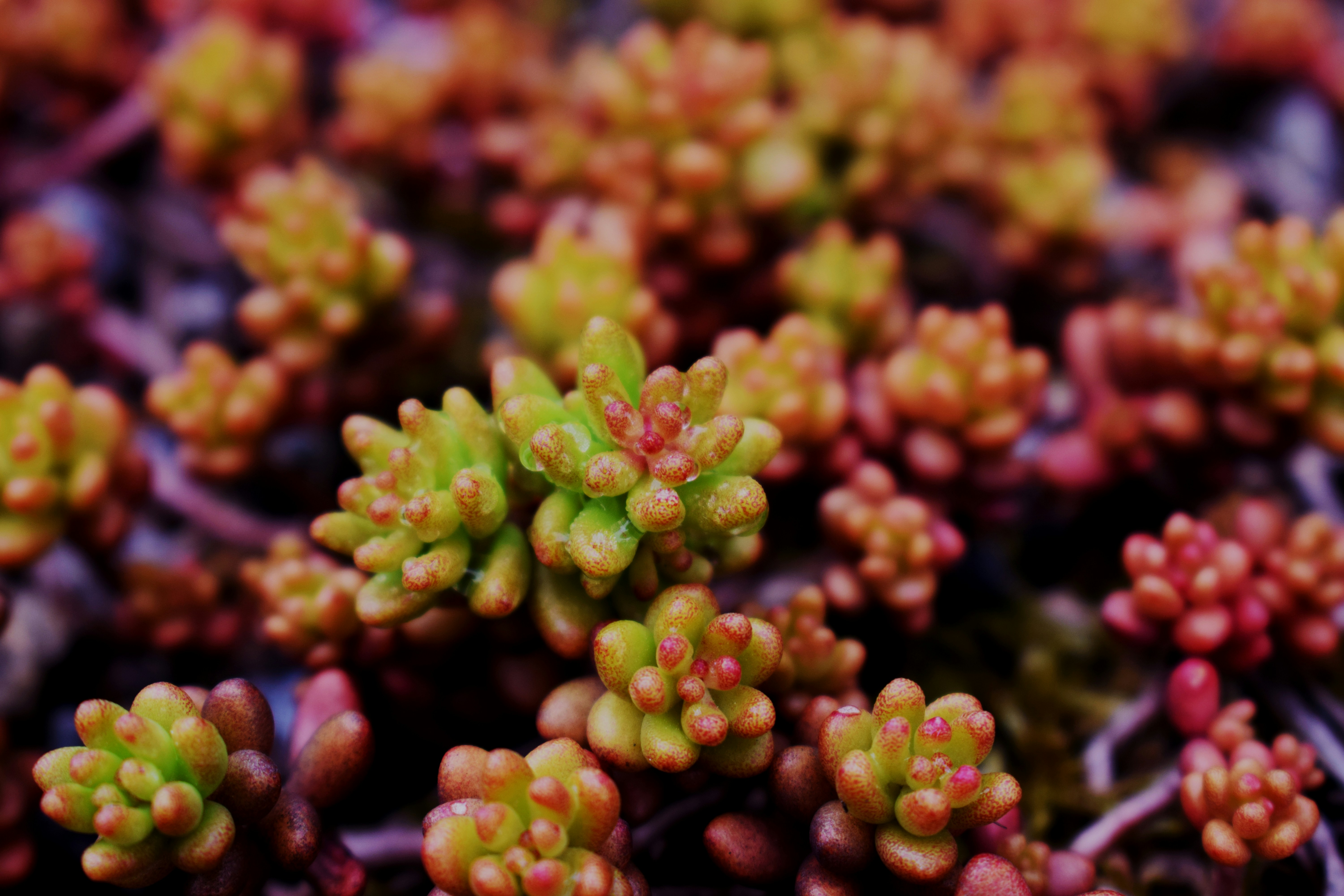 Photo by michalhlavac