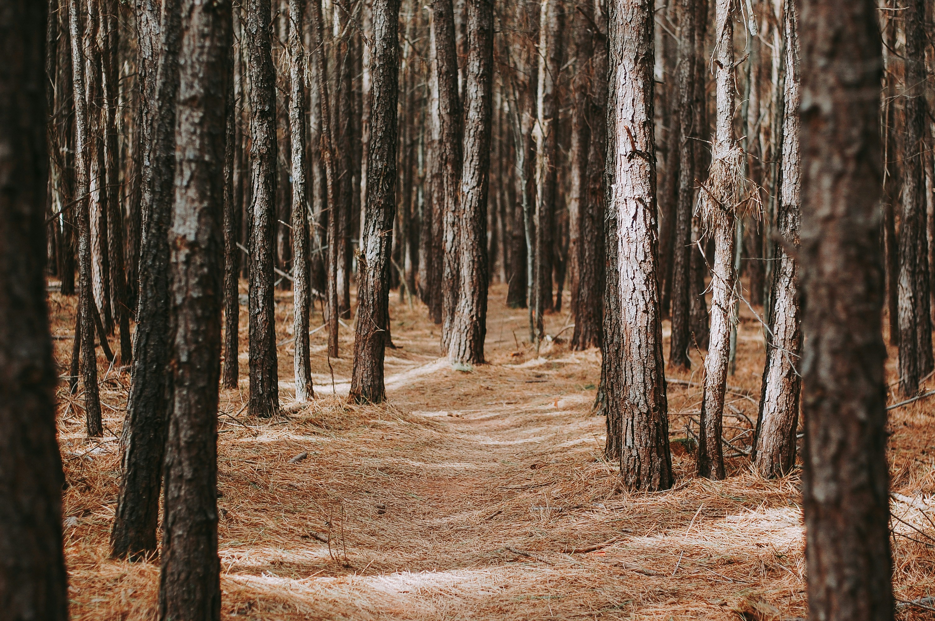 Photo by wilderandrae