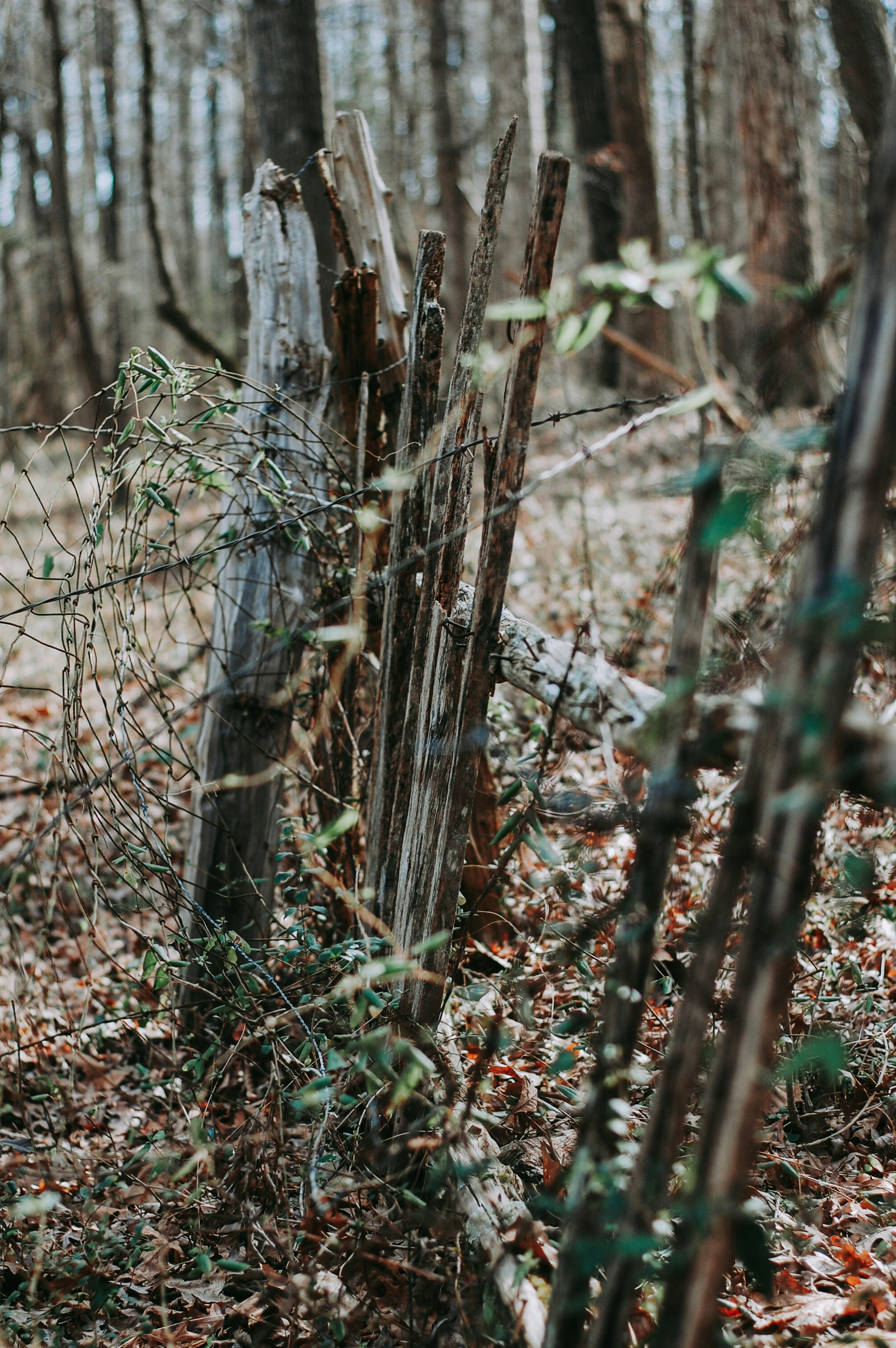 Photo by wilderandrae