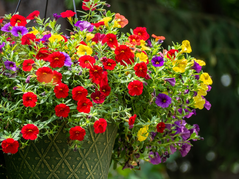 red and yellow flowers in green steel basket