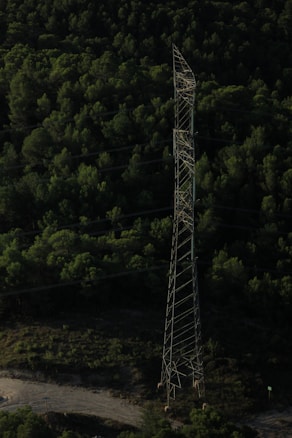 A tall, metallic power line tower stands prominently in the midst of a dense, dark green forest. The structure appears slightly bent or damaged at the top. There is a dirt path or road visible at the base of the tower, surrounded by shrubbery.