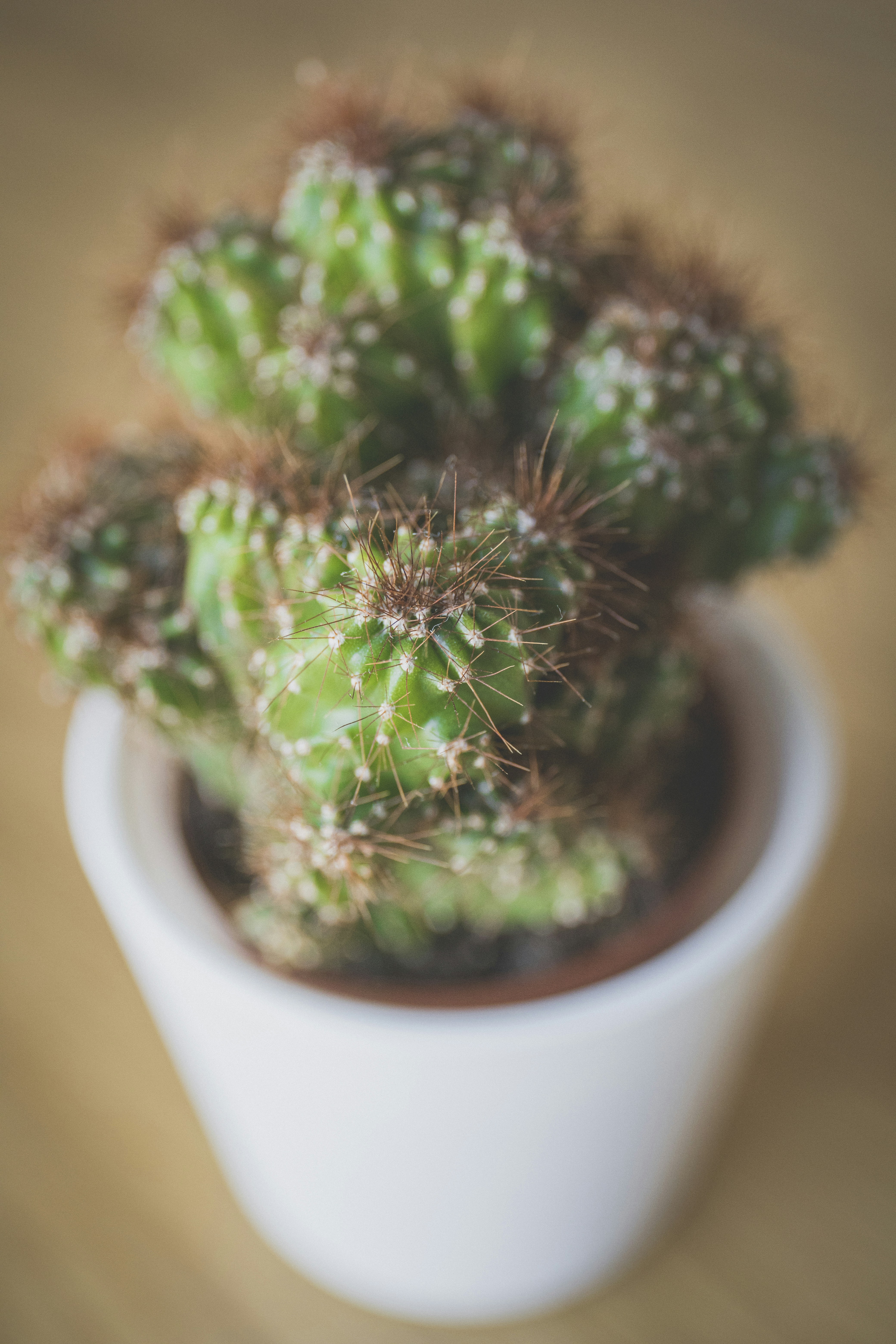 Photo by isaacquesada