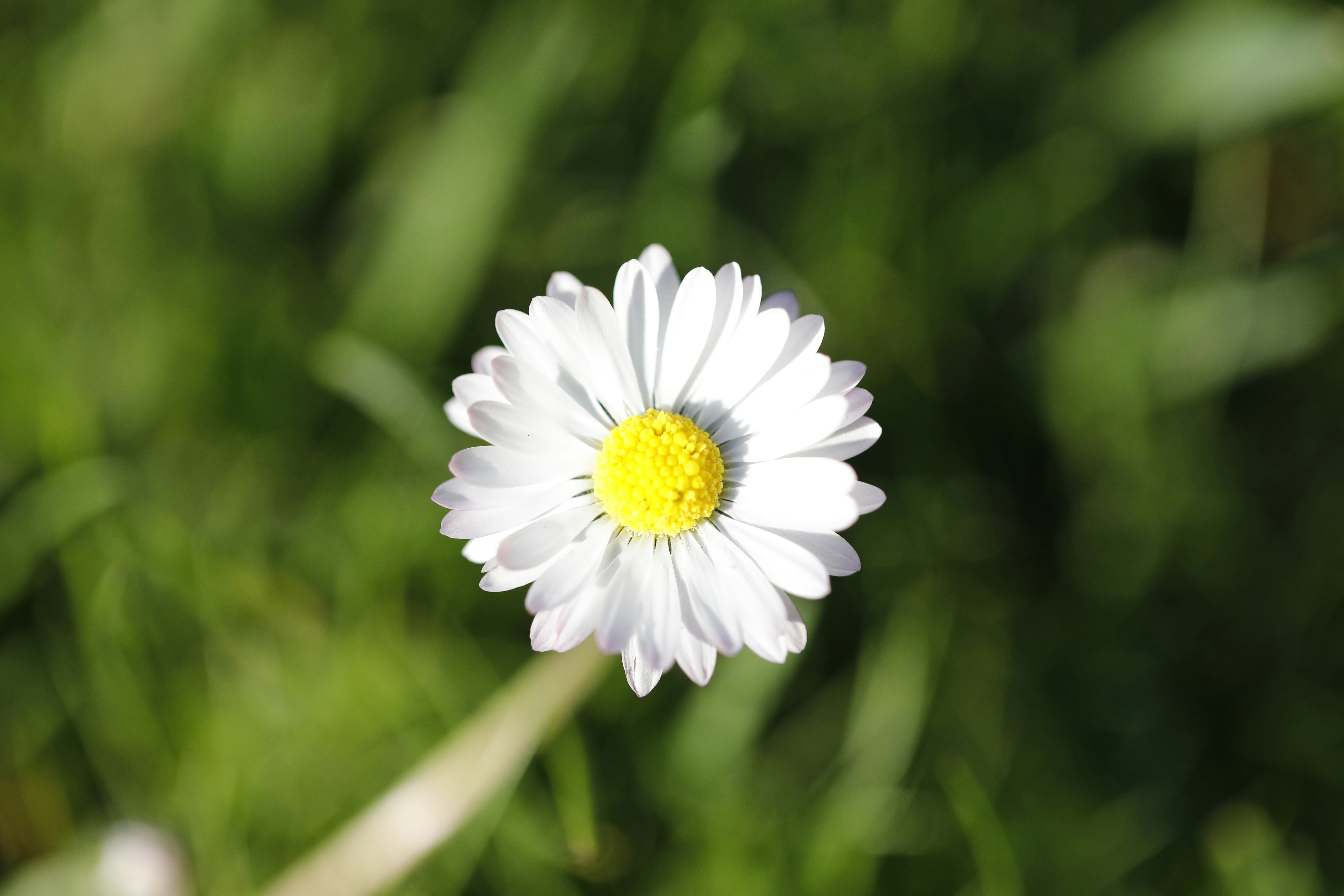 Photo by georgeiermann