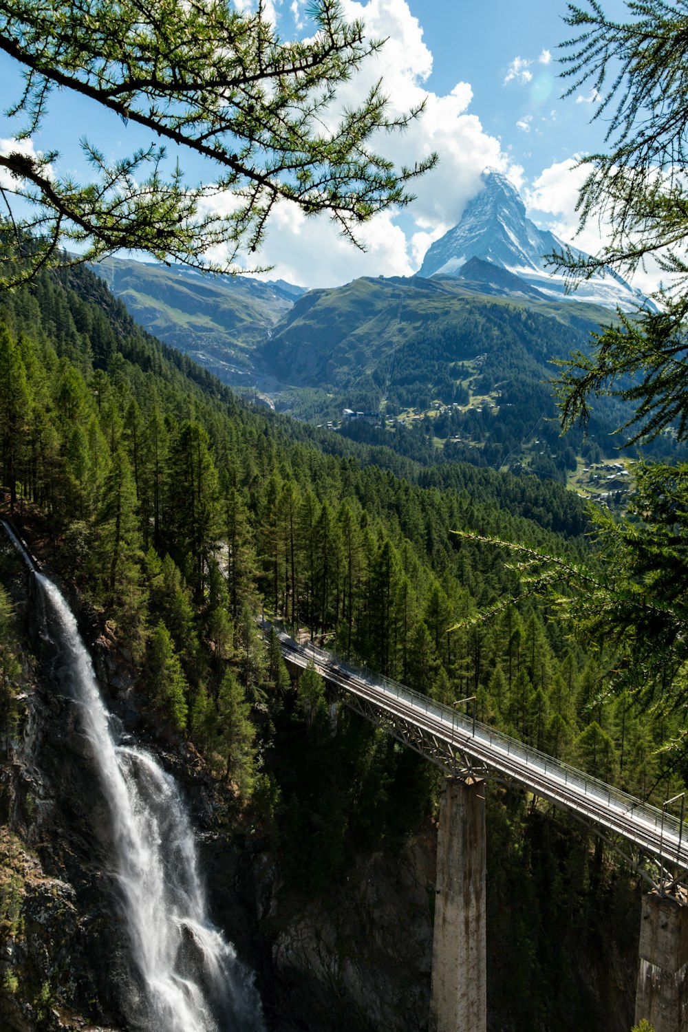 green trees near mountain during daytime