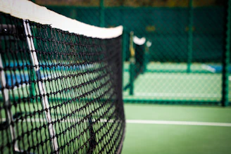 white net on green field