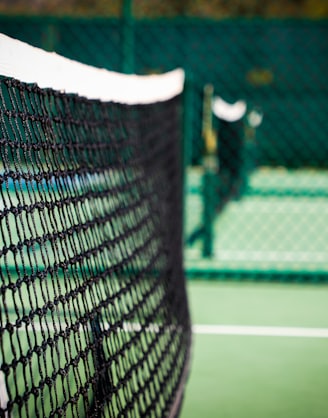 white net on green field