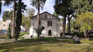 A serene park bench with a tablet displaying the daily digest blog page.