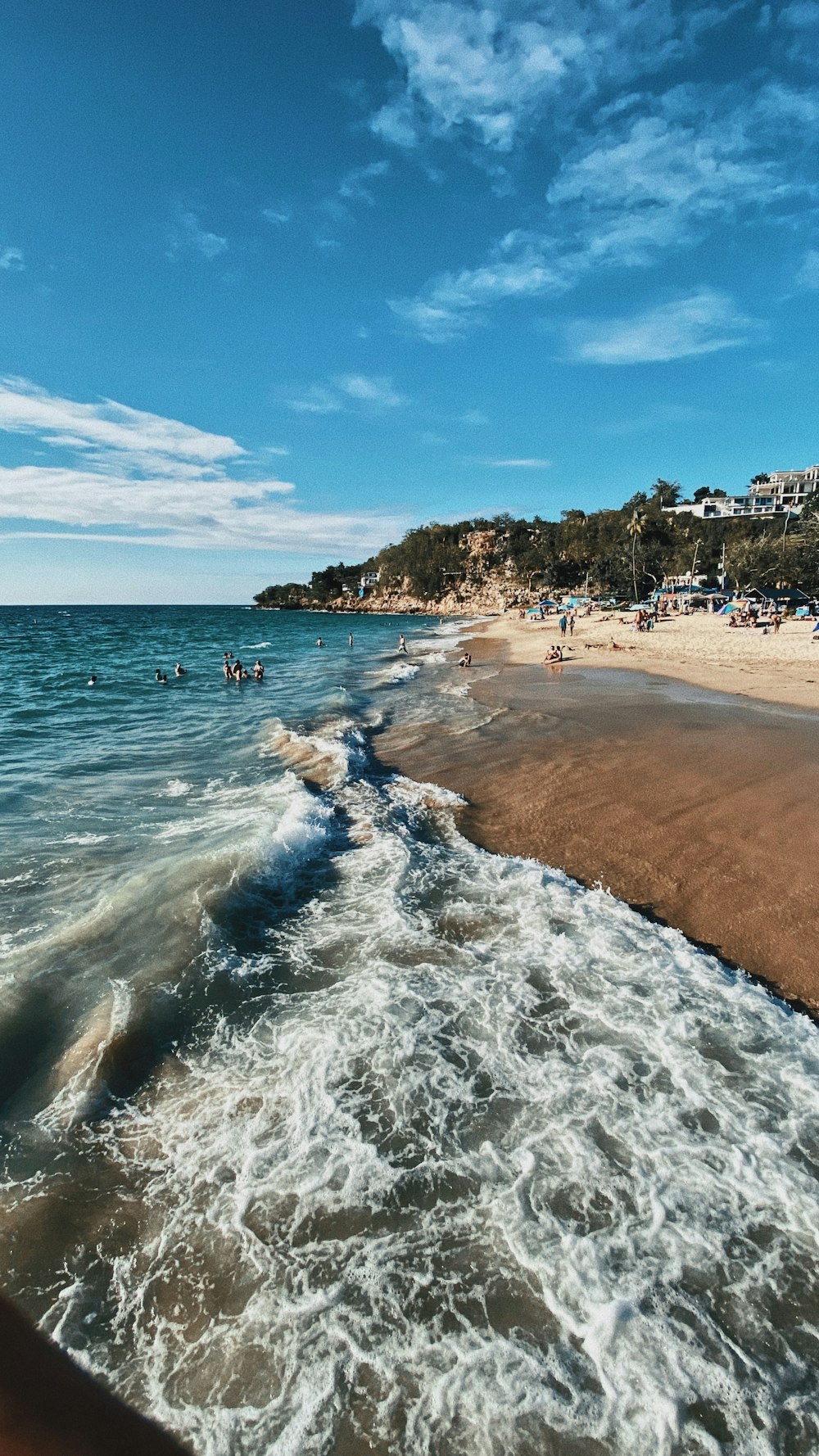 people on beach during daytime