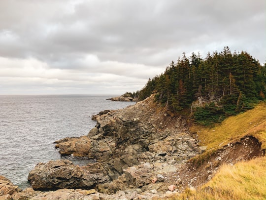 Cape Breton Highlands things to do in Meat Cove