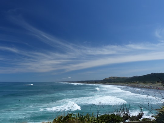 green grass near body of water during daytime in Muriwai Beach New Zealand