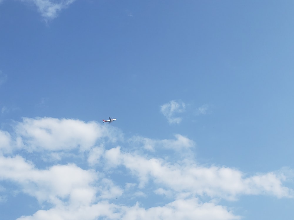 black bird flying under blue sky during daytime