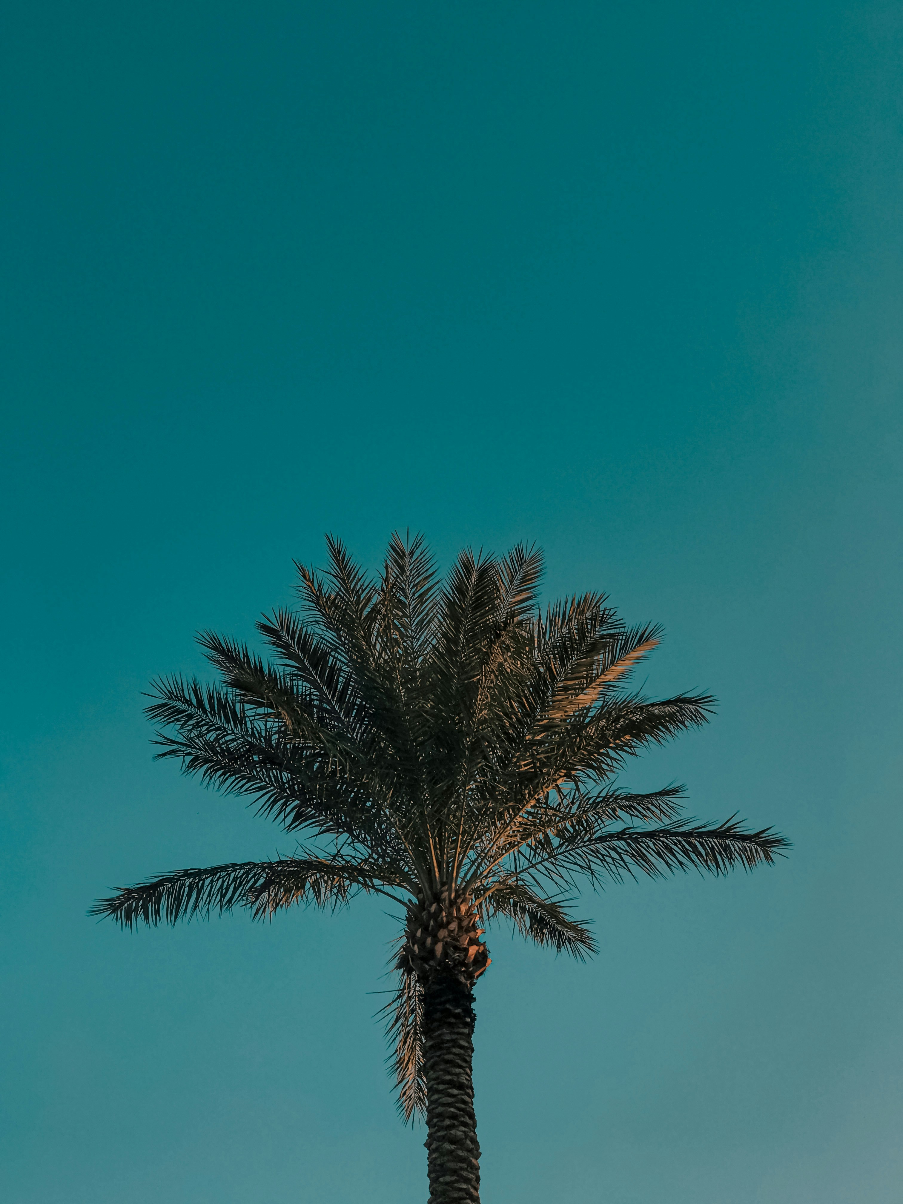 Photo by zaz_pic