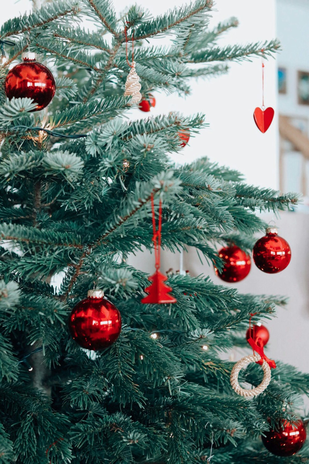 red baubles on green pine tree