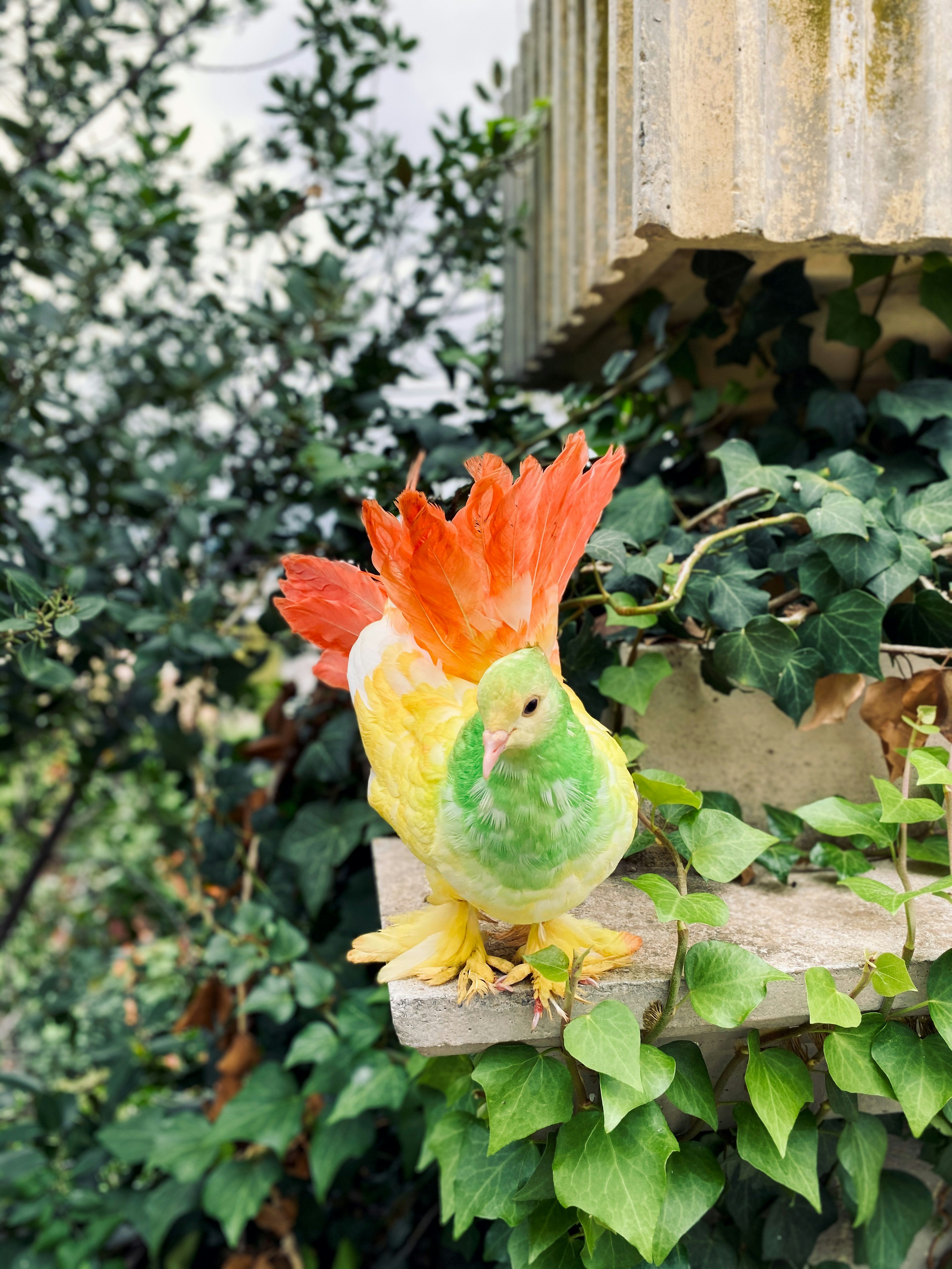 緑の植物に黄色、赤、緑の鳥